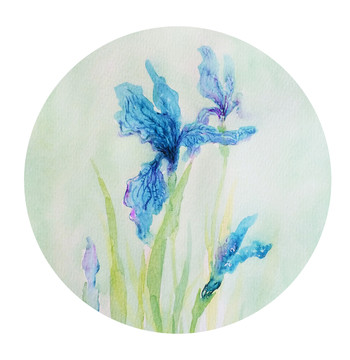 水彩鳶尾花 屏風(fēng)玄關(guān)裝飾畫