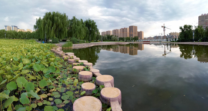 城市公園