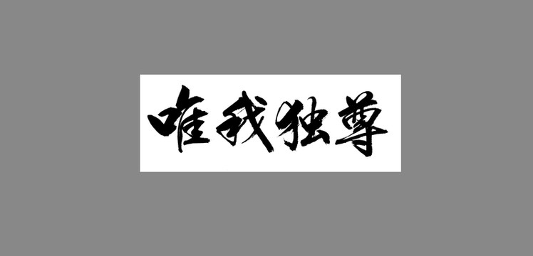 唯我獨(dú)尊