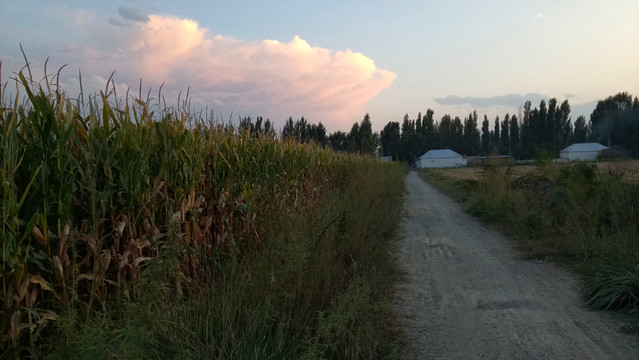 小路