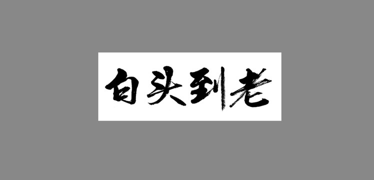 白頭到老