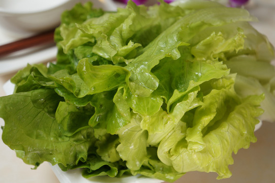 生菜