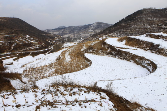 雪后的田野