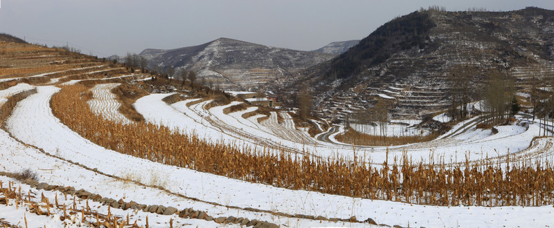 雪后的田野