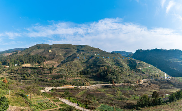 梯田茶山