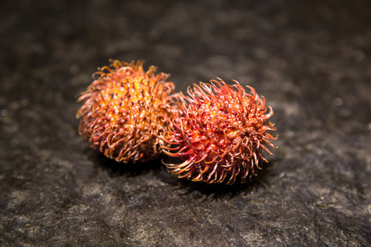 紅毛丹