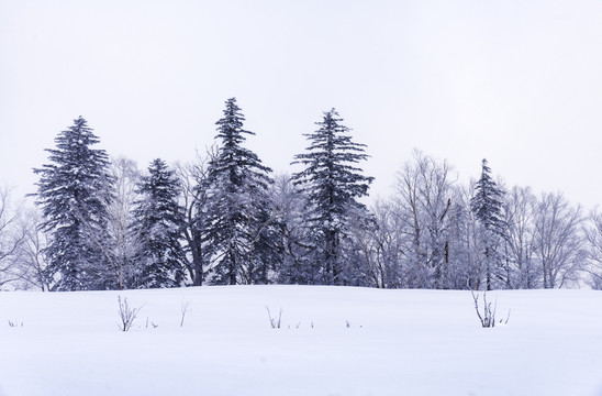 夢(mèng)幻雪鄉(xiāng)