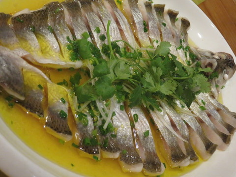 太湖白魚(yú)