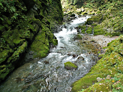 山中小溪 山林溪流