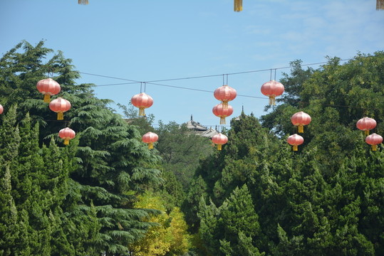 燈籠