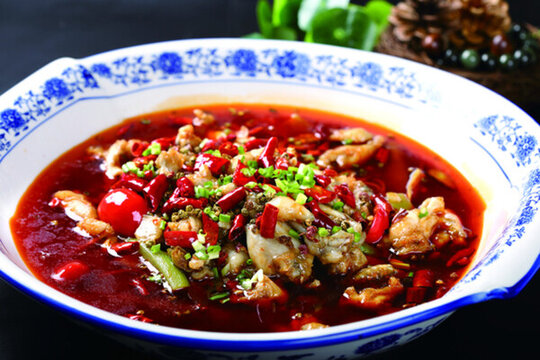 華麗牛蛙仔