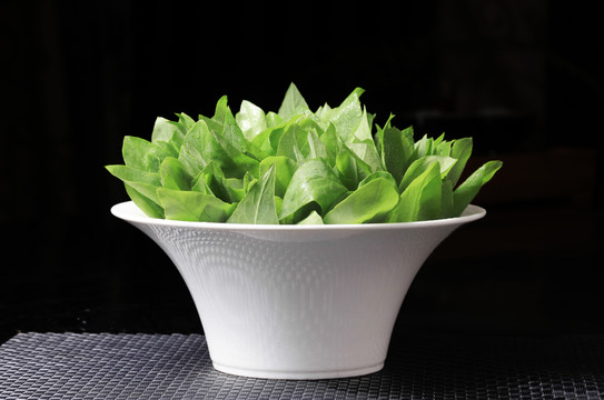 苦麻菜