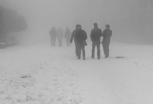 霧雪里的背影