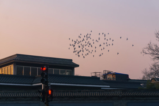 晚霞 （4）