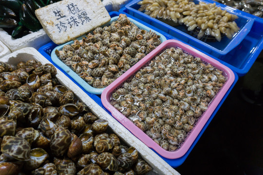 海鮮 貝殼類