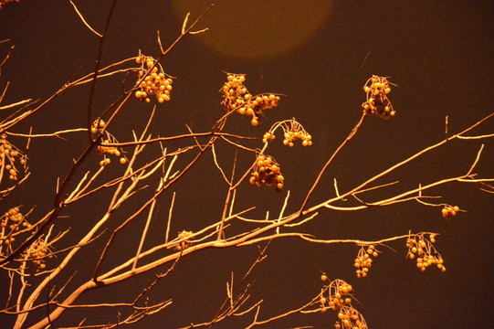 雪夜下的路燈