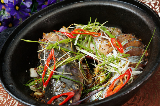 汗蒸劍骨魚(yú)