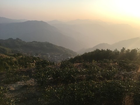 晚霞風(fēng)景