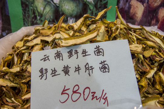 牛肝菌 標(biāo)本及價(jià)格參考