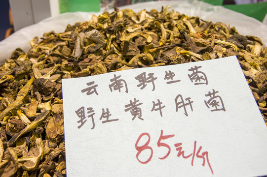 牛肝菌 標(biāo)本及價(jià)格參考