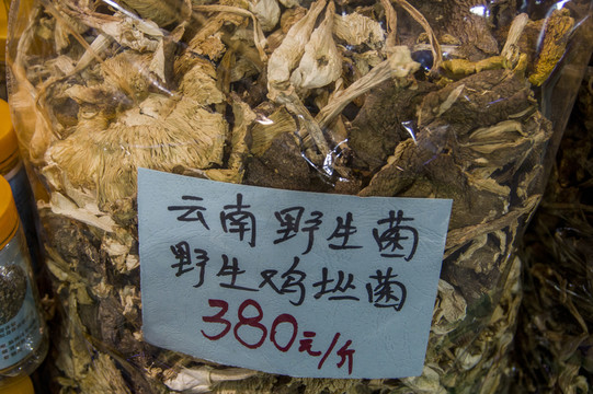 雞樅菌 標(biāo)本及價(jià)格參考