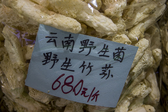 竹蓀 標(biāo)本及價(jià)格參考