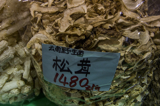 松茸 標(biāo)本及價(jià)格參考