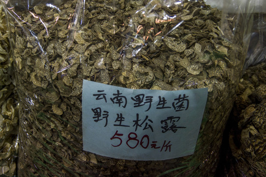 松露 標本及價格參考