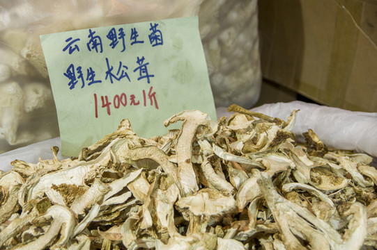 松茸 標(biāo)本及價(jià)格參考