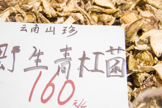 青杠菌 標(biāo)本及價(jià)格參考