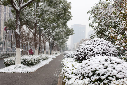 人行道上雪