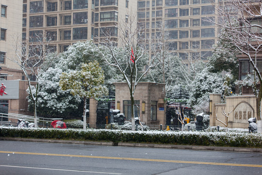雪景