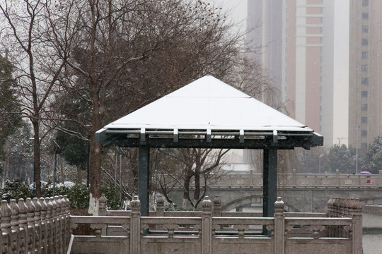 雪景