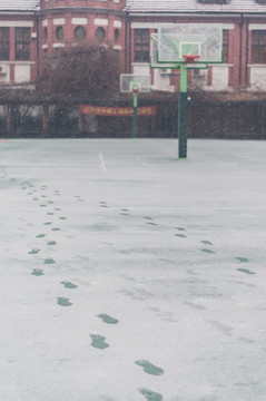 雪中校園
