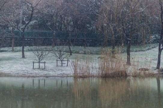 下雪的湖邊