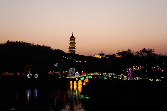 重慶 園博園 夜景
