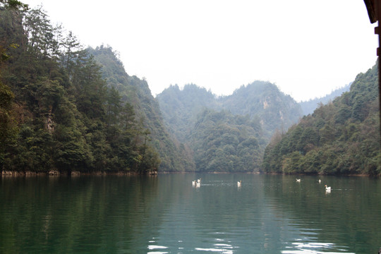 張家界 寶峰湖風(fēng)光