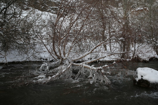 新疆雪山冰川