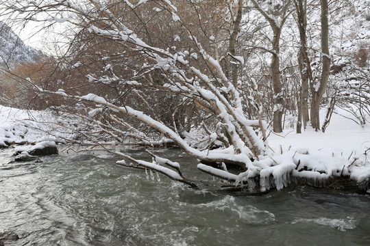 新疆雪山河流
