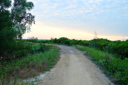乡间小路