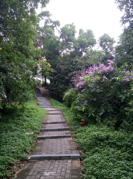 深圳鐵仔山公園