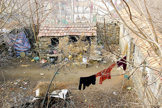 農(nóng)家小院