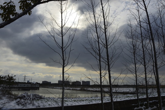 草原積雪