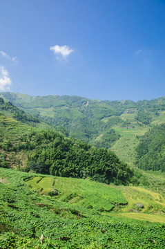山嶺風(fēng)光