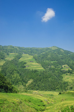 山嶺風(fēng)光