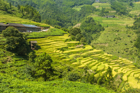 山嶺風(fēng)光