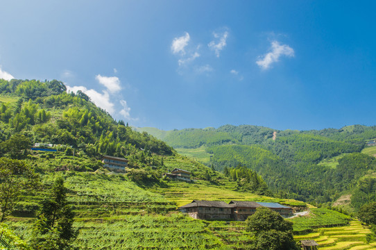 山嶺風光