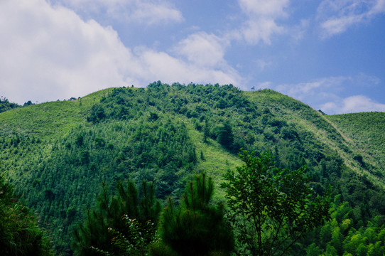 山嶺風(fēng)光