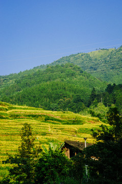 山嶺風(fēng)光