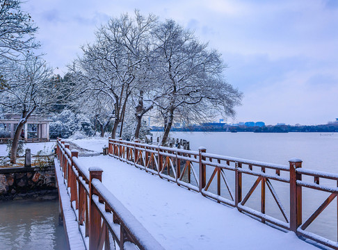 江南園林雪景